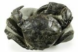 Gorgeous Fossil Crab (Pulalius) - Washington State #367608-1